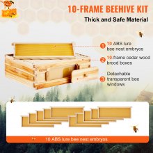 VEVOR Bienenbeute Zander 10-Rähmchen Bienenstock Bienenkasten Imkereibedarf