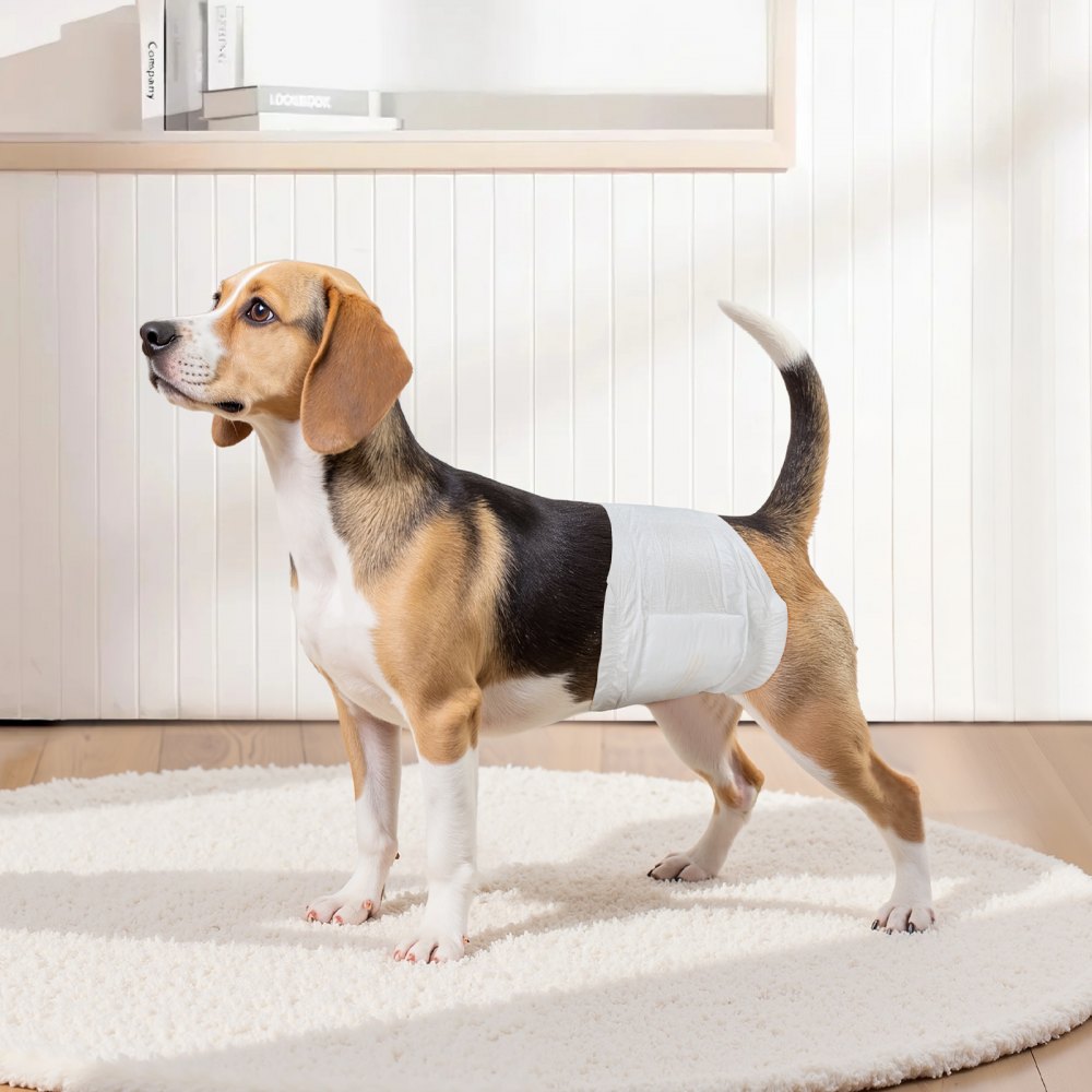 VEVOR Hundewindeln, 30,48–48,26 cm Taillenumfang, Einwegwindeln, Rüdenwindeln, 360° auslaufsichere Bauchbänder mit Nässeindikator für Rüden, Training, Inkontinenz, S, 2 Packungen à 72 Stk.