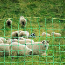 VEVOR Elektrozaunnetz, 0,88 x 49,98 m, PE-Netzzaun mit Pfosten und doppelten Spikes, praktisches tragbares Netz für Ziegen, Schafe, Lämmer, Hirsche, Schweine, Hunde, für den Einsatz in Hinterhöfen