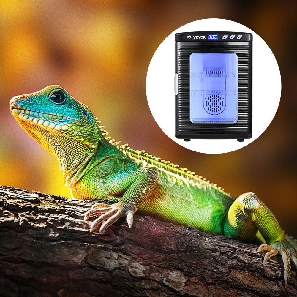 VEVOR Reptilien Inkubator Brutapparat Terraristik Brutkasten 33x38x48 cm, Eierbrutmaschine für Reptilien Geflügel 5-42 ℃ Temperaturkontrolle 25 L Fassungsvermögen LED-Anzeige & -Taste 2 Einlegeböden