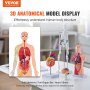 VEVOR 4-teilige Menschliche Anatomiemodelle Menschlicher Körper Anatomie Modell, Vollskelett / Vollorganset / Herz / Gehirn Abnehmbarer Menschlicher Körper Modell, für Medizinstudenten Ärzte & Lehrer