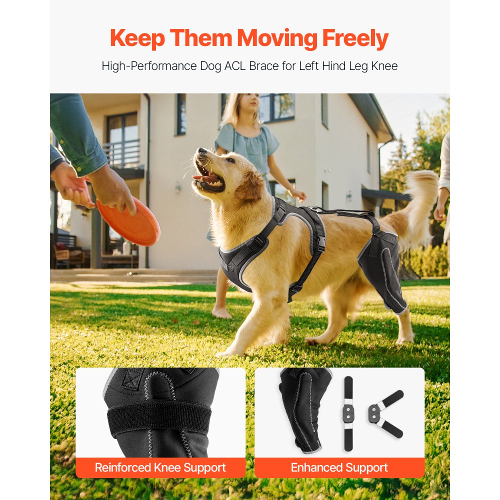 VEVOR Knieorthese für Hunde bei gerissenem vorderem Kreuzband, mit verstellbarem Scharnierstabilisator, für das linke Hinterbein, Schmerzlinderung, Gelenkstütze für Hunde zur Genesung von Arthritis