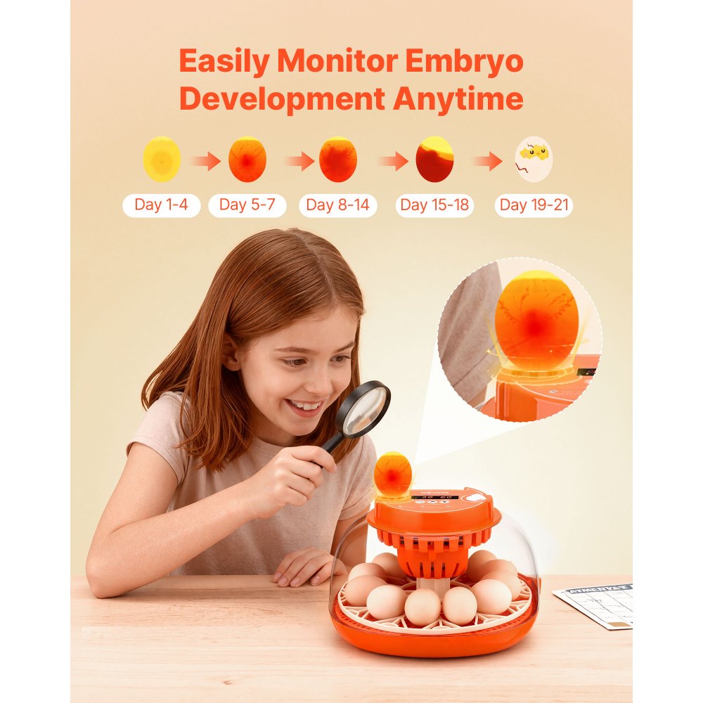 VEVOR 12 Egg Incubator, Automatic Egg Turner with LED Candler, Temperature & Humidity Control, 360° View Clear Window, Poultry Eggs Incubator for Home Farm, Hatching Chicks Ducks Goose Quail