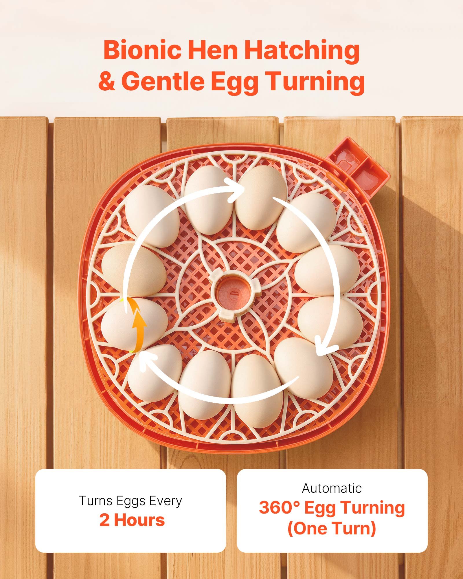 VEVOR 12 Egg Incubator, Automatic Egg Turner with LED Candler, Temperature & Humidity Control, 360° View Clear Window, Poultry Eggs Incubator for Home Farm, Hatching Chicks Ducks Goose Quail