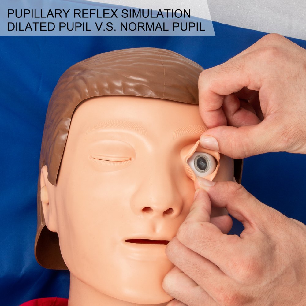 Vevor Cpr Reanimationspuppe Hlw Erste Hilfe Trainingspuppe 165 X 48 X 30 Cm