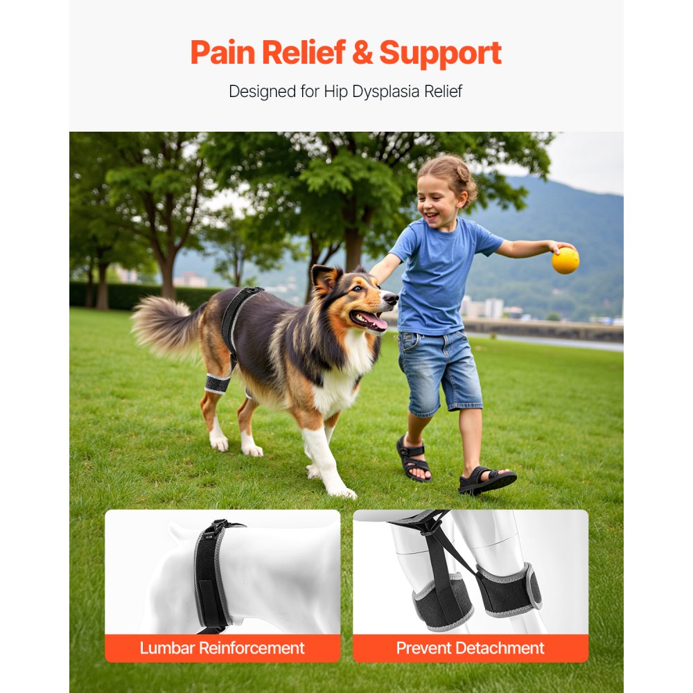 VEVOR Hüftbandage für Hunde, Stützbandage Hundehüfte, Haustier-Kniebandage, Schmerzlinderung, Hundebeinstützen, Hüftdysplasie-Bandage für Hunde mit reflektierendem Rand für Patellaluxation