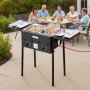 VEVOR Outdoor Propane Deep Fryer, Dual-Tank 9Lx2 Commercial Fryer, Stainless Steel Cooker with Foldable Platform, Dual Basket, and Heat Adjustment, Floor Standing Fryers for Restaurant Home Snack Bar