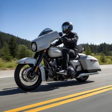 VEVOR Motorrad-Rückenlehne Sissy Bar für Harley-Davidson Touring Street 31cm