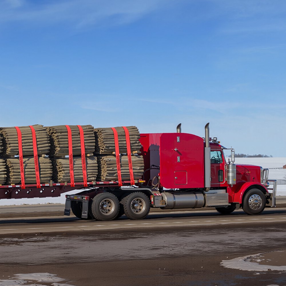VEVOR Windengurte, 4" x 30', 6000 lbs Tragfähigkeit, 18000 lbs Bruchfestigkeit, LKW-Gurte mit flachem Haken, Ladungskontrolle für Anhänger, Bauernhöfe, Rettungen, Baumschoner, Rot (10er-Pack)