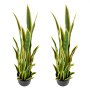 VEVOR 2 Stk. Künstliche Sansevieria 914mm Hoch Künstliche Bogenhanf im Topf, Gefälschte Schlangenpflanze für Zuhause Büro Garten & Geschäft, aus HDPE-Material, UV-Schutz, 24 Blätter, Pflegeleichte Deko