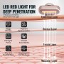 Diagramm des VEVOR-Rotlichttherapiestabs, das die tiefe Penetration in die Hautschichten bei verschiedenen Hautproblemen zeigt.