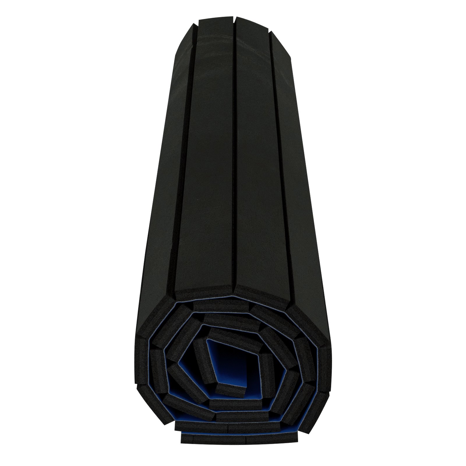 Vevor Sportmatte Fitnessmatte 1,5x3m Rutschfest Kampfsport Wrestling Matte Blau