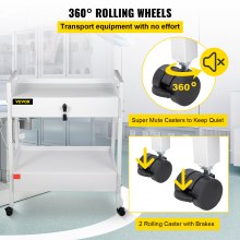 VEVOR Rollwagen, Dentallaborwagen, mobiler rollender Servierwagen aus Stahl, 2 Etagen