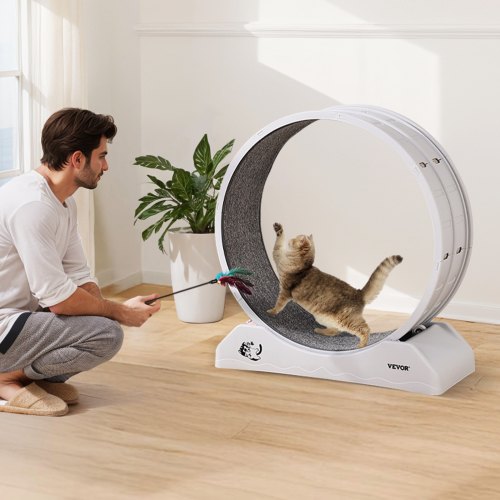 Katzen Laufrad 34 Zoll – Mit Verriegelung, Kratzbrett & Spielzeug, Für Indoor-Katzen Zur Gewichtsreduktion