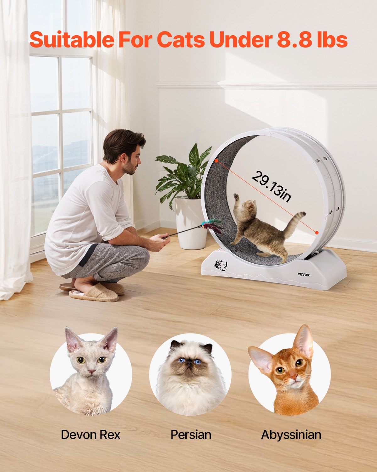 VEVOR Katzenlaufrad, 80x34x85cm, großes Laufrad für Katzen mit sicherer Bremse & Laufbahn aus Teppich, leiser Betrieb, Laufband für Katzen bis zu 4kg, Katzenrad für Gewichtsverlust & Gesundheit, weiß