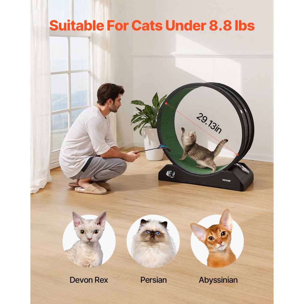 VEVOR Katzenlaufrad, 80x34x85cm, großes Laufrad für Katzen mit sicherer Bremse und Laufbahn aus Teppich, leiser Betrieb, Laufband für Katzen, Katzenrad für Gewichtsverlust und Gesundheit, Schwarz