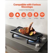 VEVOR Wendbare Grillplatte Vorgewürzte BBQ Pfanne aus Gusseisen 492x218mm