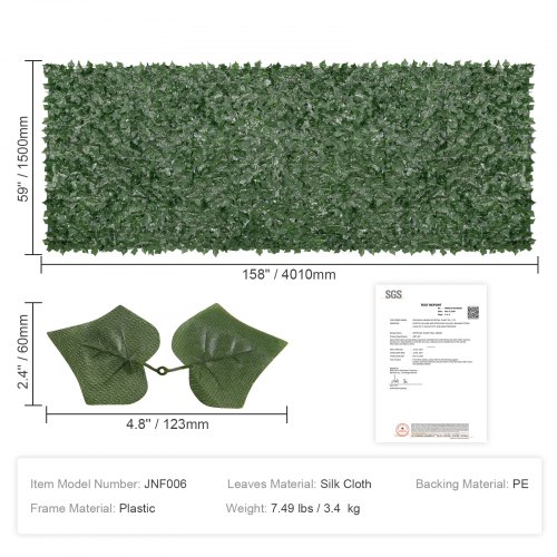 dracaena plant benefits Dracaena Warneckii, Lemon Lime Dragon Tree main image 0