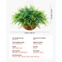 VEVOR Artificial Ferns, 2 Pcs Fake Hanging Boston Fern Bush Plant with 584 mm Hanging Length, Plastic Faux Greenery for Indoor and Outdoor Decor, For Wall, Wedding Party, Home, Porch Garden, Office