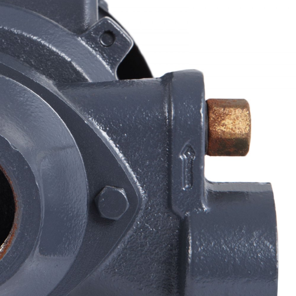 Dieselpumpe Heizöl 230v 600w öl Kraftstoffpumpe 2850 Rpm Garantie Elektrische