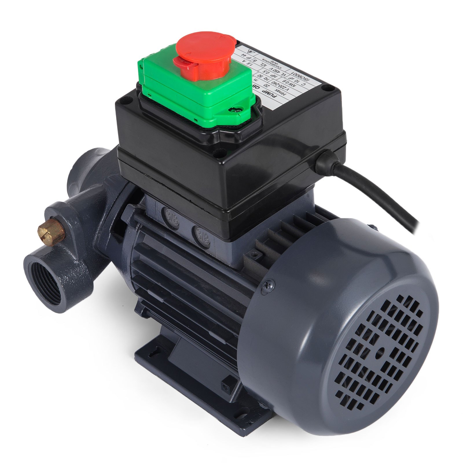 Dieselpumpe Heizöl 230v 600w öl Kraftstoffpumpe 2850 Rpm Garantie Elektrische