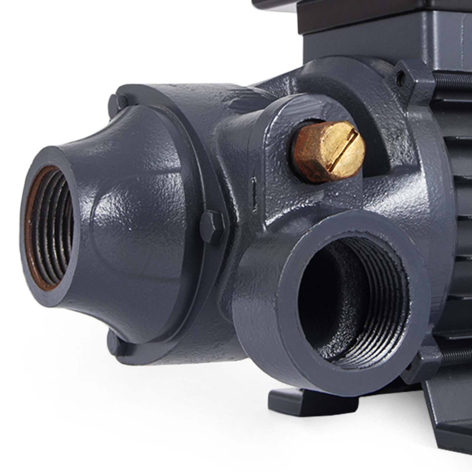 Dieselpumpe Heizöl 230v 600w öl Kraftstoffpumpe 2850 Rpm Garantie Elektrische