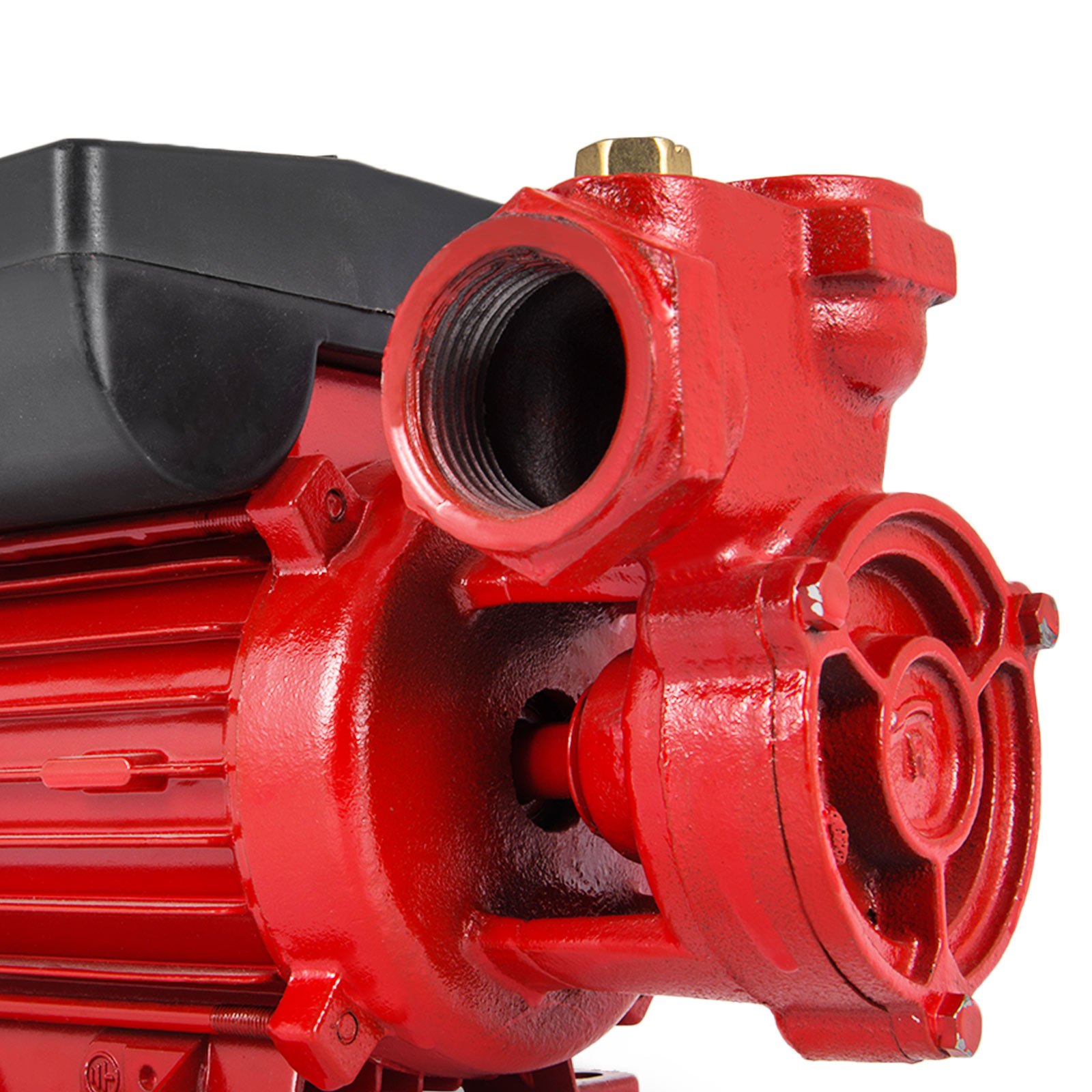 VEVOR Dieselpumpe DP40L mit automatik Zapfpistole 230V Kraftstoffpumpe Pumpe