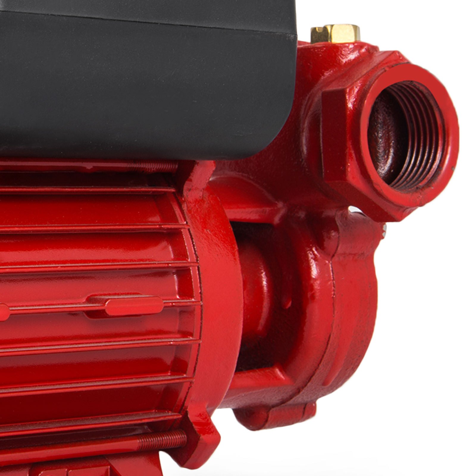 VEVOR Dieselpumpe DP40L mit automatik Zapfpistole 230V Kraftstoffpumpe Pumpe