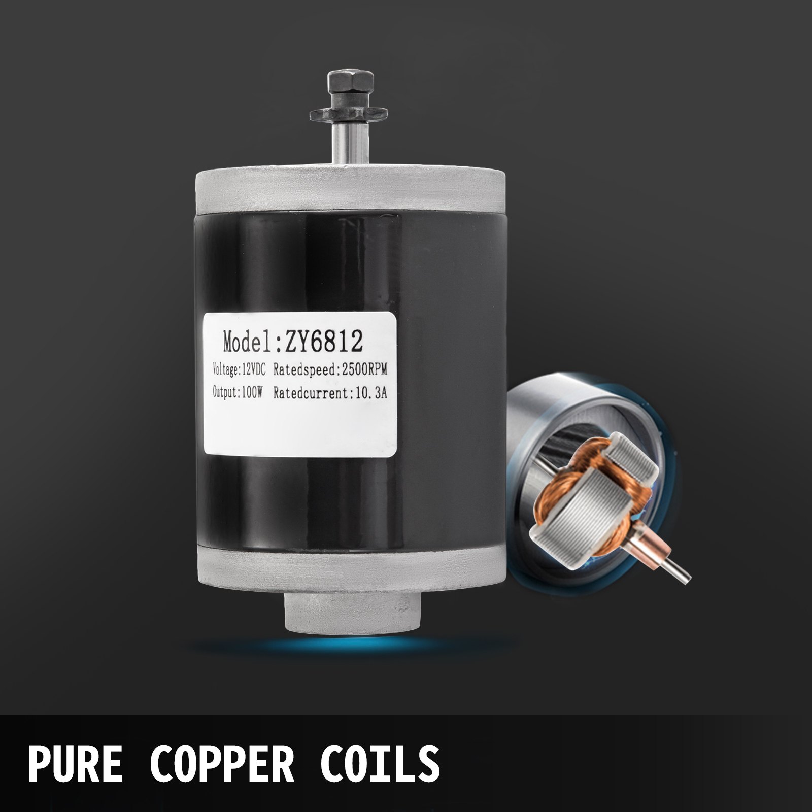 Gebürsteter Motor Gleichstrommotor Elektromotor 100w 24/12v Dc Zy6812 2pcs