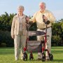 VEVOR Rollator Faltbar mit Sitz, Leichtgewicht Gehwagen mit 4 PVC Reifen, Gehhilfe bis 136 kg mit Rückenlehne Tasche Gehstockhalter, Höheverstellbare Laufhilfe mit Feststellfunktion für Senioren, Rot