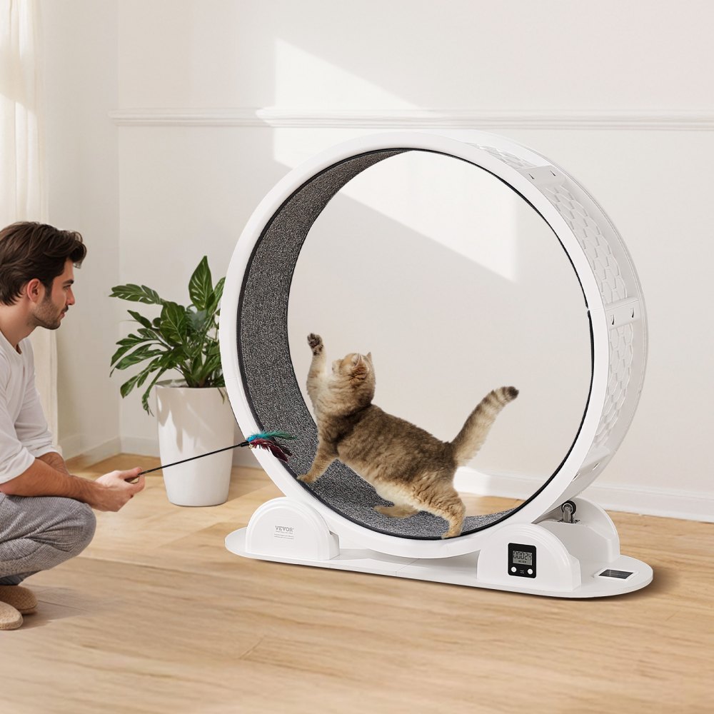 VEVOR Laufrad für Katzen, 115x39,5x109cm, Laufrad für Katzen mit Bremse & Laufbahn aus Teppich, Katzenlaufband für Hauskatzen unter 13,6 kg, Katzentrainer für die Gesundheit & Fitness von Haustieren