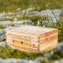 VEVOR Kit de Colmena de Abejas de Madera 10 Marcos con Caja Profunda Madera de Cedro Recubierta de Cera de Abejas Base de Ventanas Acrílicas Transparentes para Apicultores Principiantes Profesionales