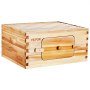 VEVOR Kit de Colmena de Abejas de Madera 10 Marcos con Caja Profunda Madera de Cedro Recubierta de Cera de Abejas Base de Ventanas Acrílicas Transparentes para Apicultores Principiantes Profesionales