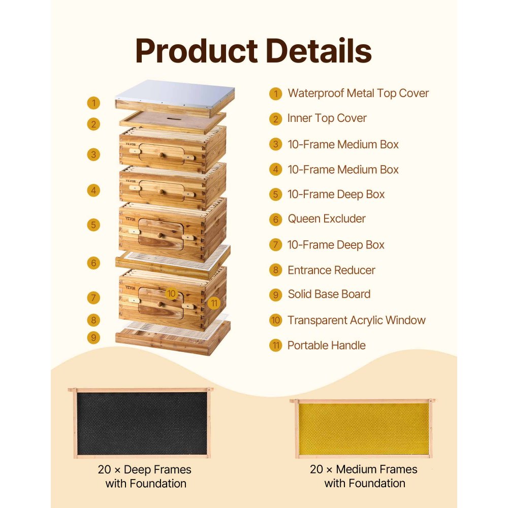 VEVOR Colmenas con 40 Marcos Madera de Cedro Recubierta de Cera de Abejas 2 Cajas de Abejas Profundas y 2 Medianas con Ventanas Acrílicas Transparentes para Apicultores Principiantes y Profesionales