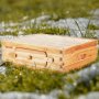 VEVOR Colmena Mediana con 10 Marcos y Cimientos de Madera de Cedro Natural Recubierta de Cera de Abejas, Colmena con Ventanas Acrílicas Transparentes para Apicultores Principiantes y Profesionales