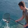 VEVOR Red de Pesca de Aluminio 143 cm, Red de Aterrizaje de Peces con Malla de Silicona Suave y Mango de PE, Ligera y Resistente, Sacadera Soporta hasta 4 kg, para Kayak, Barco, Orilla, Estanque