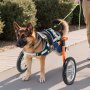 VEVOR Silla de 2 Ruedas para Perros para Patas Traseras, Ajustable en Altura, Anchura y Longitud, con Ruedas Amortiguadoras, Aleación Aluminio, para Perros Lesionados o Discapacitados hasta 39 kg