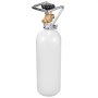 VEVOR Tanque de Aire de Dióxido de Carbono con Revestimiento en Aerosol Gris, Cilindro de Acero de Aleación Nuevo 2 kg, para Dispensar Cerveza de Barril y Hacer Refrescos, 115 x 115 x 445 mm
