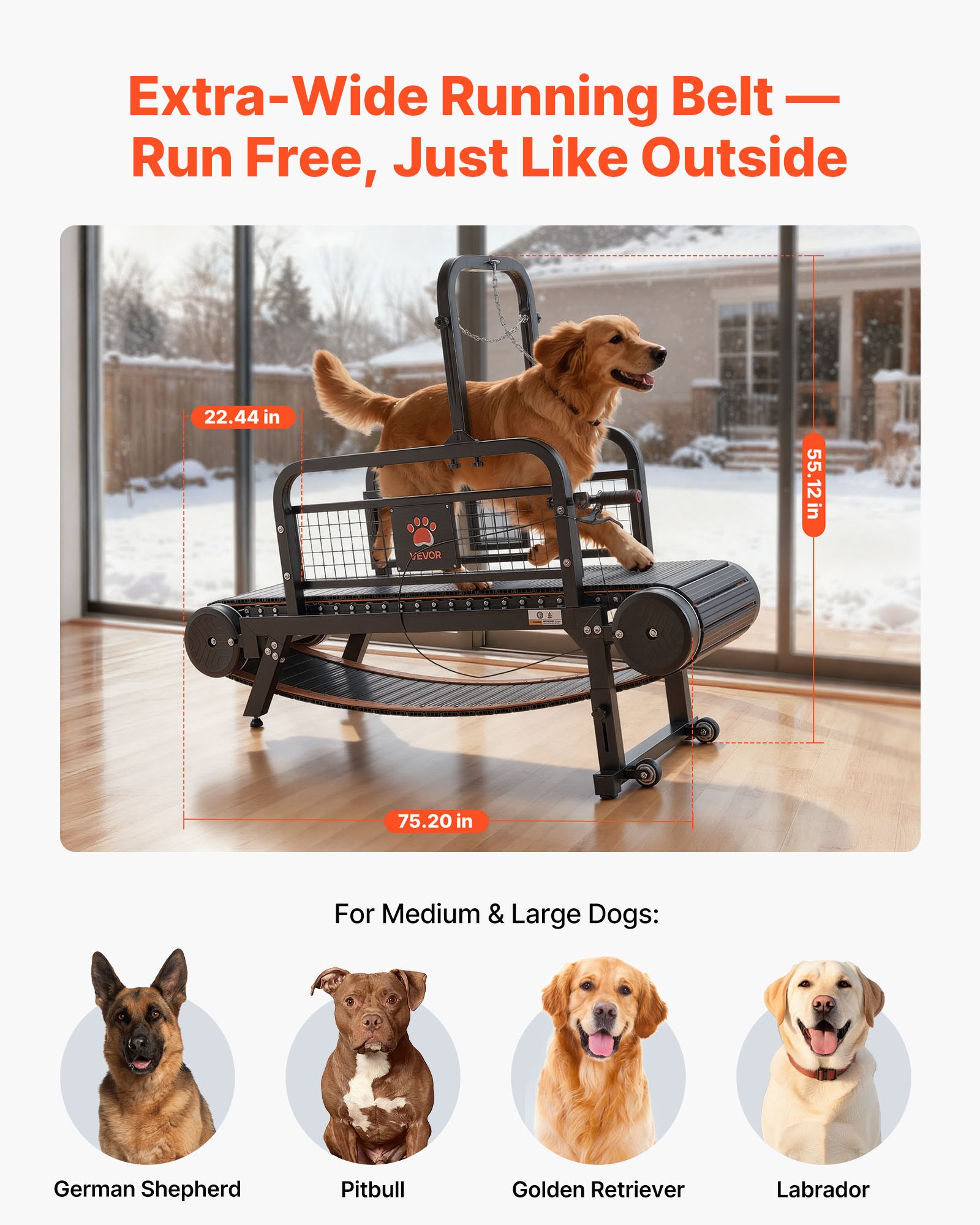 VEVOR Cinta de Correr para Perros Grandes Medianos sin Motor 191 x 57 x 140 cm, Soporte 199,58 kg, Máquina de Ejercicio Interior Perros, con Rampa Ajustable y Ruedas, Altura de Inclinación de 11 cm