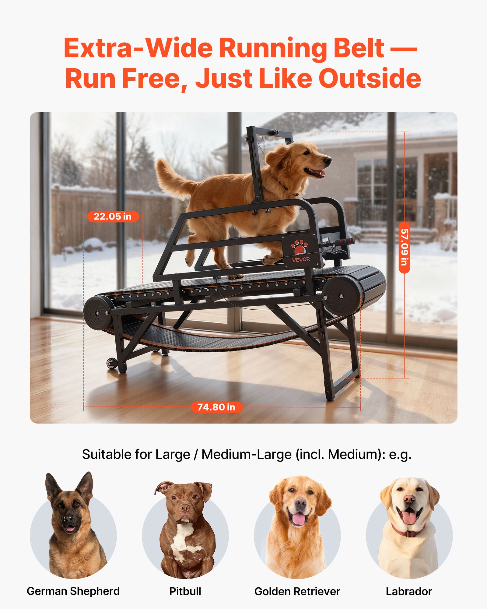 VEVOR Cinta de Correr para Perros Medianos Grandes sin Motor 190 x 56 x 145 cm, Soporte 199,58 kg, Máquina de Ejercicio Interior Perros, Altura de Inclinación de 15 cm, con Rampa Ajustable y Ruedas