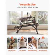 VEVOR Cinta de Correr para Perros Medianos de 175 x 51 x 130 cm Carga de 100 kg