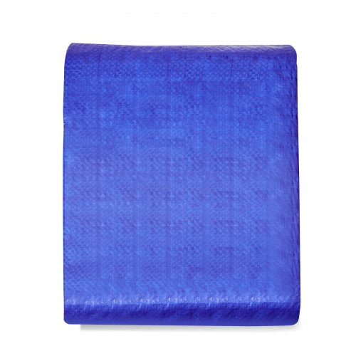VEVOR Lona Protectora para Exteriores 304,8 x 365,76 cm Lona Impermeable de Polietileno Espesor de 5 mils, Resistente a los Rayos UV y a la Temperatura con Ojales Reforzados, Alta Durabilidad, Azul