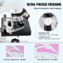 VEVOR Microscopio Compuesto Trinocular Microscopio Biológico 40X-5000X Enfoque Fino y Grueso de Precisión con Interfaz de Etapa 2 Capas para Computadora o Monitor Externo Investigación Educativa