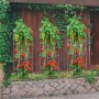VEVOR Jaulas para Tomates, 30 x 30 x 117 cm, 5 Paquetes de Jaulas Cuadradas de Soporte para Plantas, Torres de Tomate de Acero Recubiertas de PVC Plateadas para Trepar Verduras, 14,1 lbs, 6,4 kg