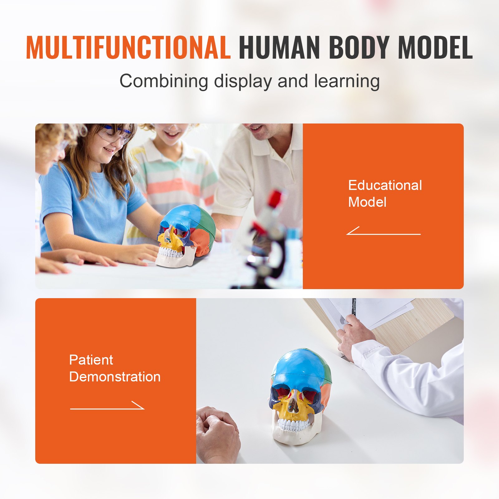 VEVOR Juego de Modelos Anatómicos Humanos 4 piezas, Cerebro, Corazón, Torso y Esqueleto, Tamaño Natural, Modelo de Enseñanza de PVC, Piezas Desmontables para Formación Médica, Escuela, Hospital