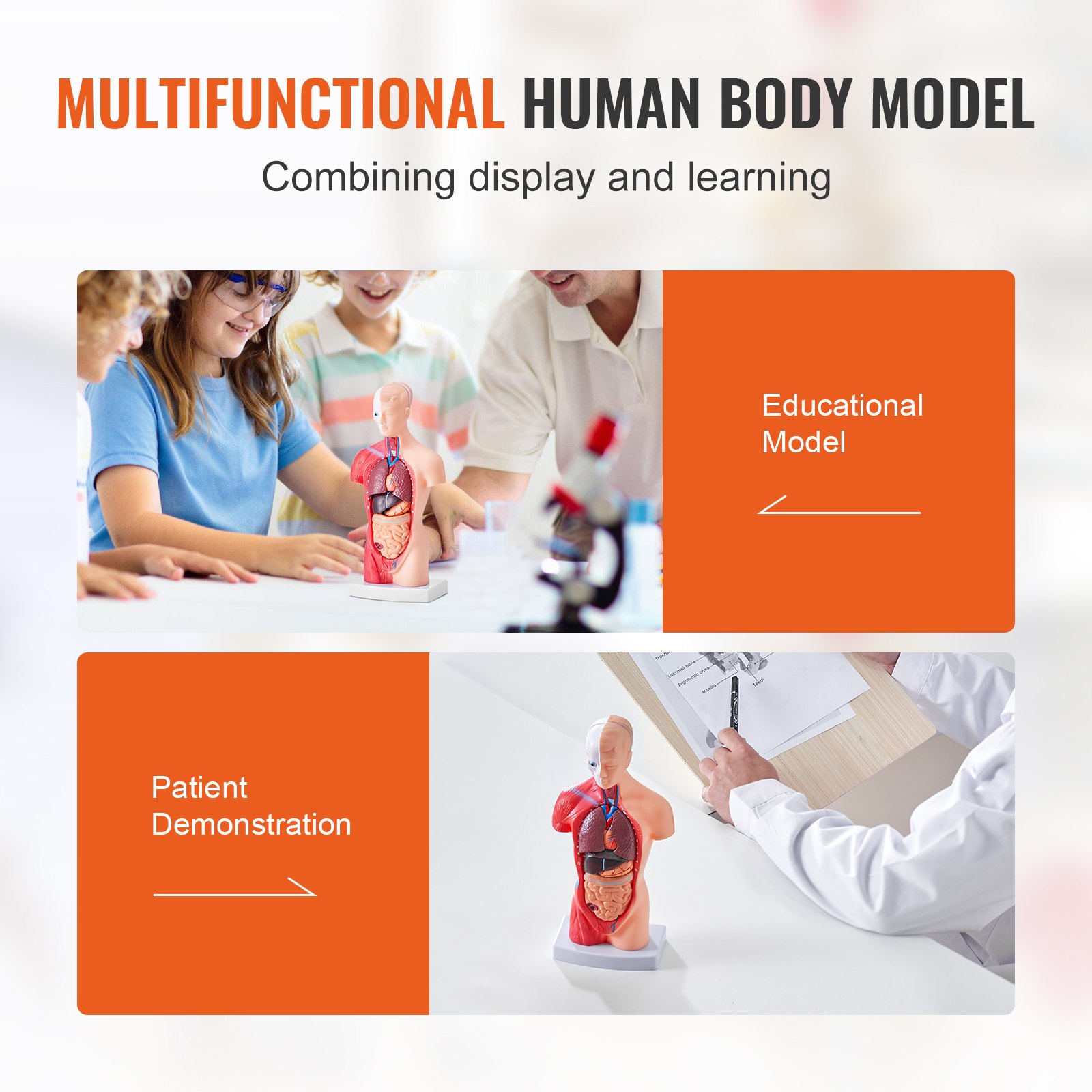 VEVOR Juego de Modelos Anatómicos Humanos 4 piezas, Cerebro, Corazón, Torso y Esqueleto, Tamaño Natural, Modelo de Enseñanza de PVC, Piezas Desmontables para Formación Médica, Escuela, Hospital