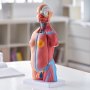 VEVOR Juego de Modelos Anatómicos Humanos 4 piezas, Cerebro, Corazón, Torso y Esqueleto, Tamaño Natural, Modelo de Enseñanza de PVC, Piezas Desmontables para Formación Médica, Escuela, Hospital