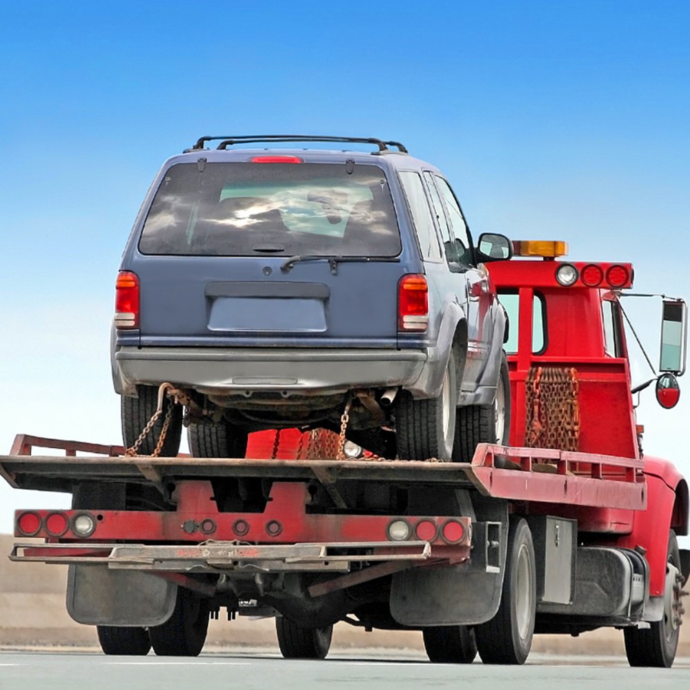 VEVOR Cadena de Remolque con Ganchos RTJ Carga de 4200kg Cadena de Remolque G80 8x914 mm Recubrimiento Galvanizado Acero al Manganeso Grillete D para Transporte de Emergencia Movimiento de Automóviles