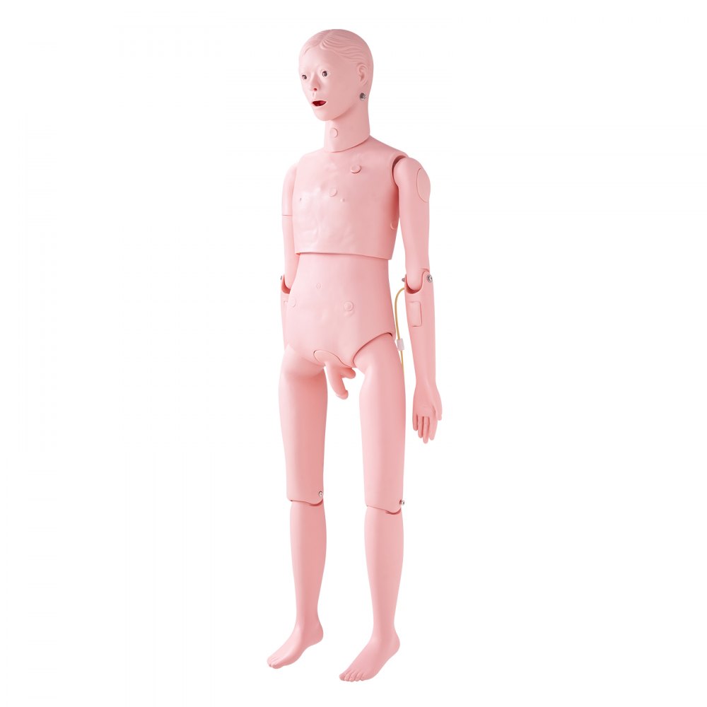 VEVOR Maniquí de Enfermería Masculino Maniquí de Cuidado del Paciente Alto de 153 cm PVC Maniquí de Entrenamiento de Enfermera Simulación Realista para Enseñanza Formación Médica de Hospital Instituto