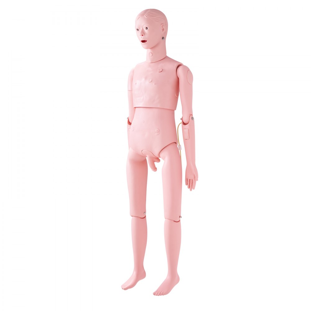 VEVOR Maniquí de Enfermería Masculino Maniquí de Cuidado del Paciente Alto de 153 cm PVC Maniquí de Entrenamiento de Enfermera Simulación Realista para Enseñanza Formación Médica de Hospital Instituto